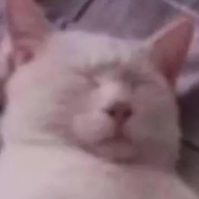六边形毛猴