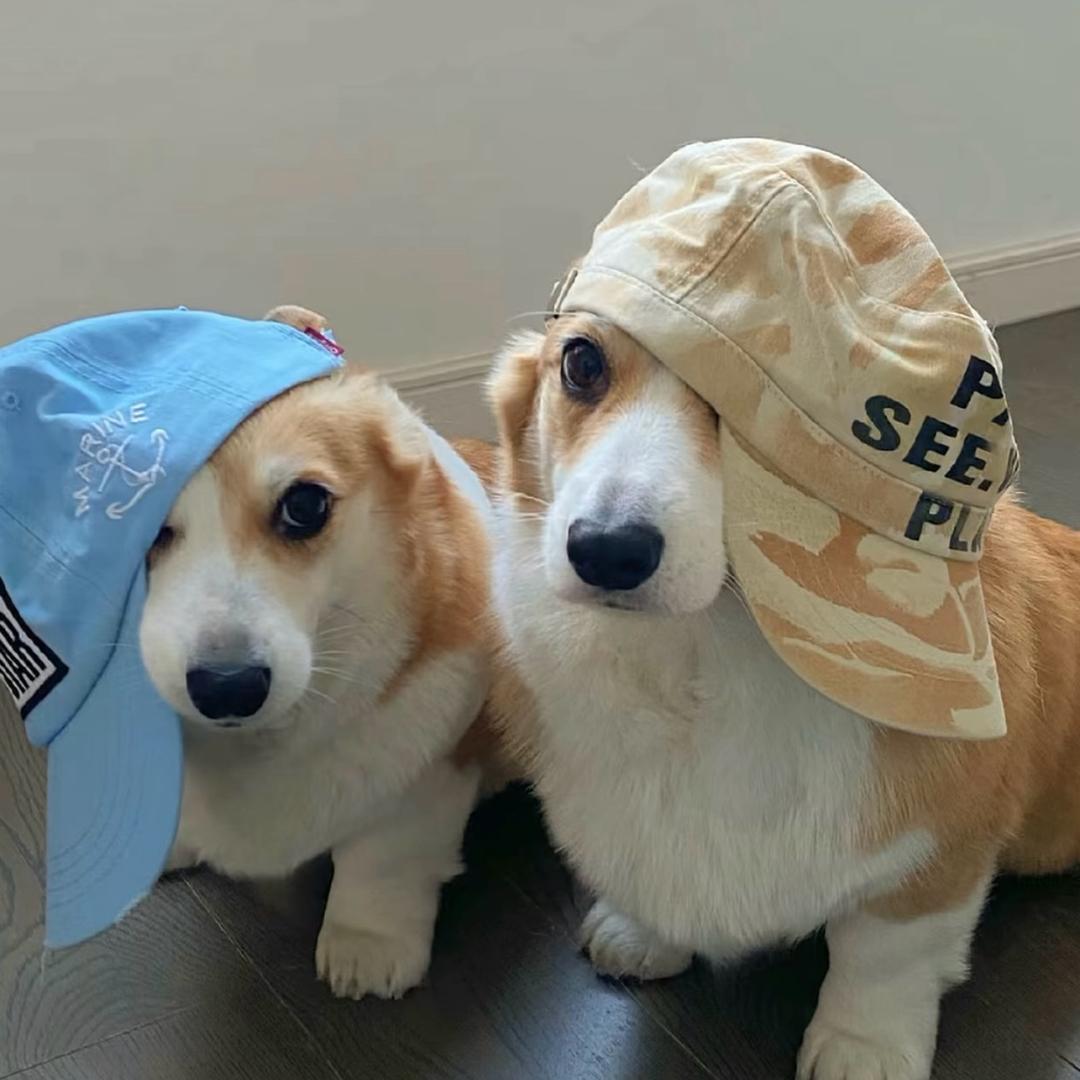 ￴￴ ￴￴ sev7n