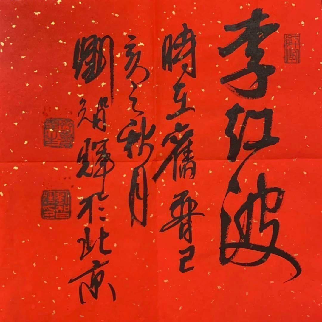 新区波波