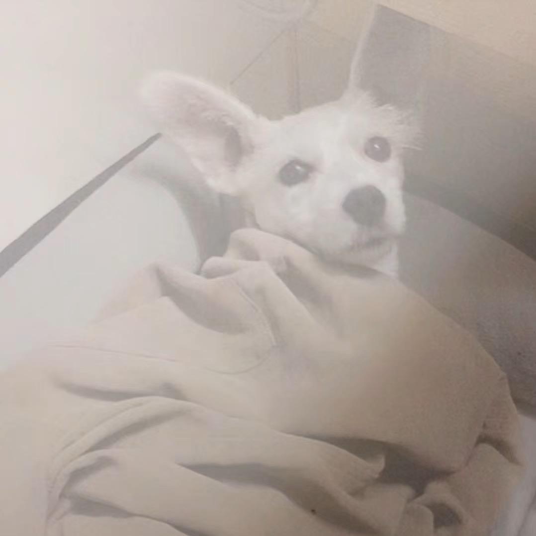 @王    这跑