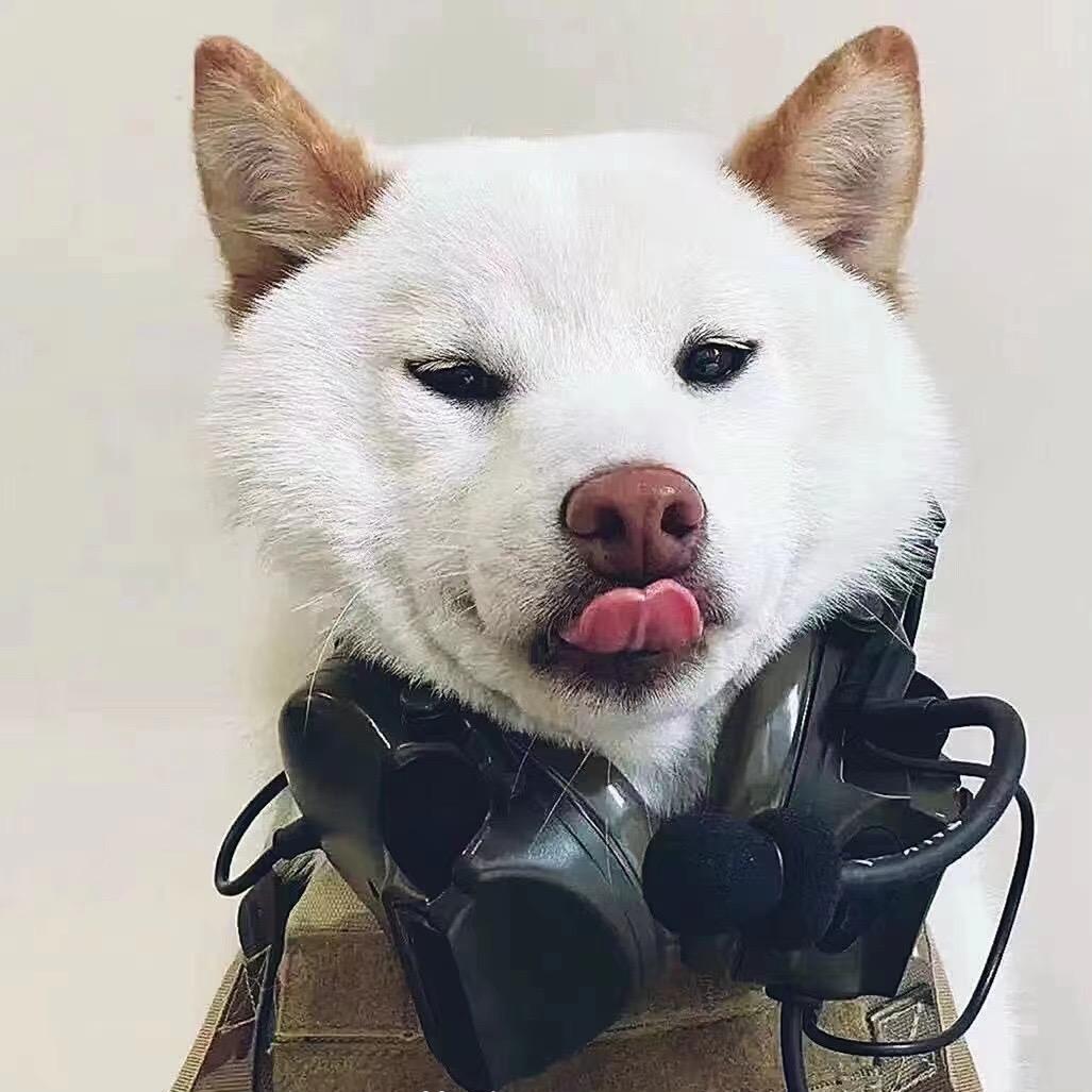 好