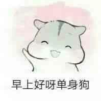 喵了个小小咪