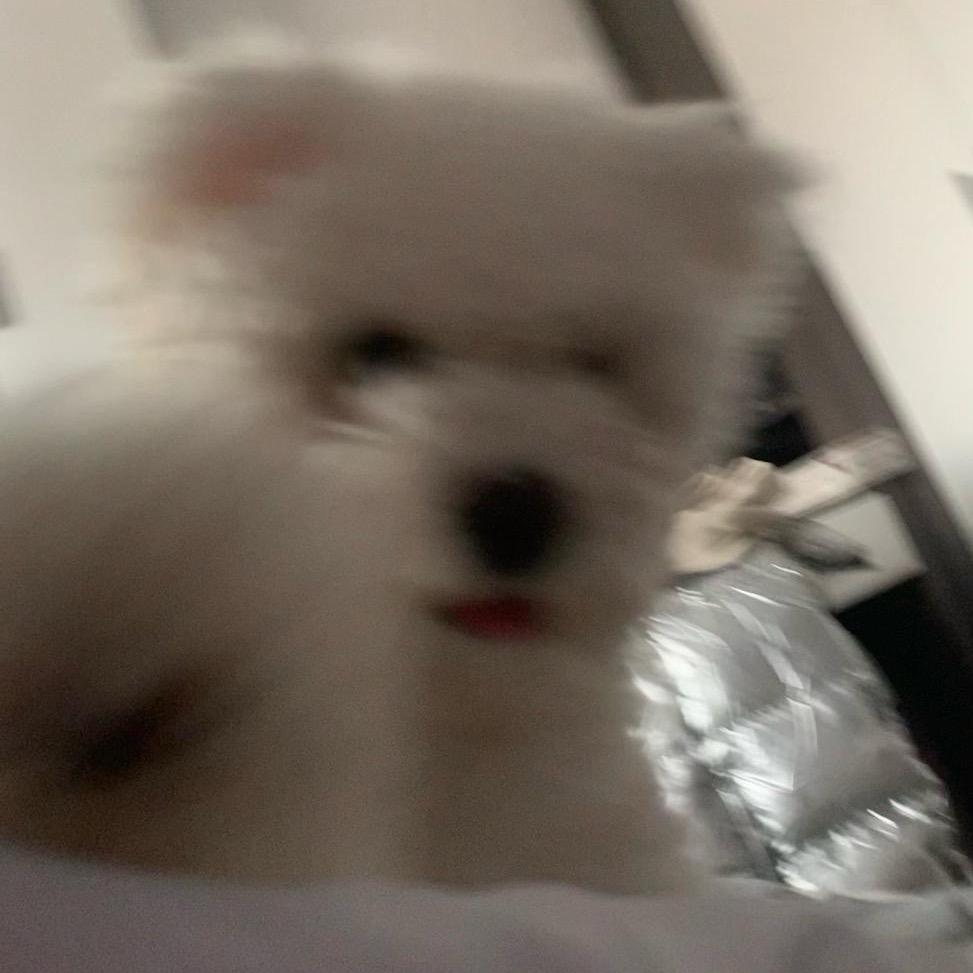 迷糊老师