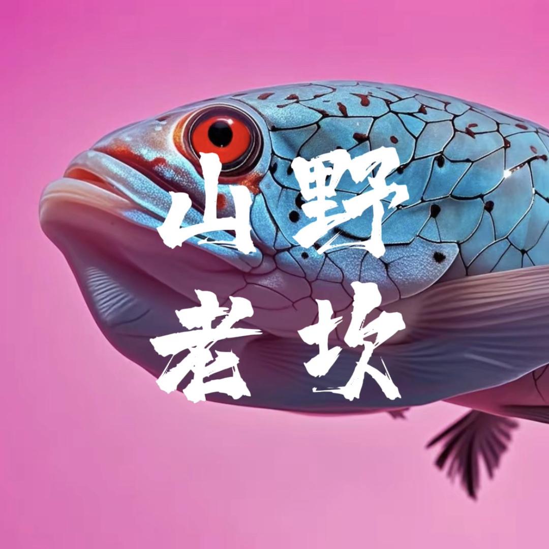 山野老坎（雷龙）