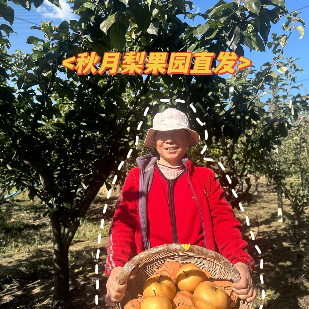 秋月梨主理人🌿