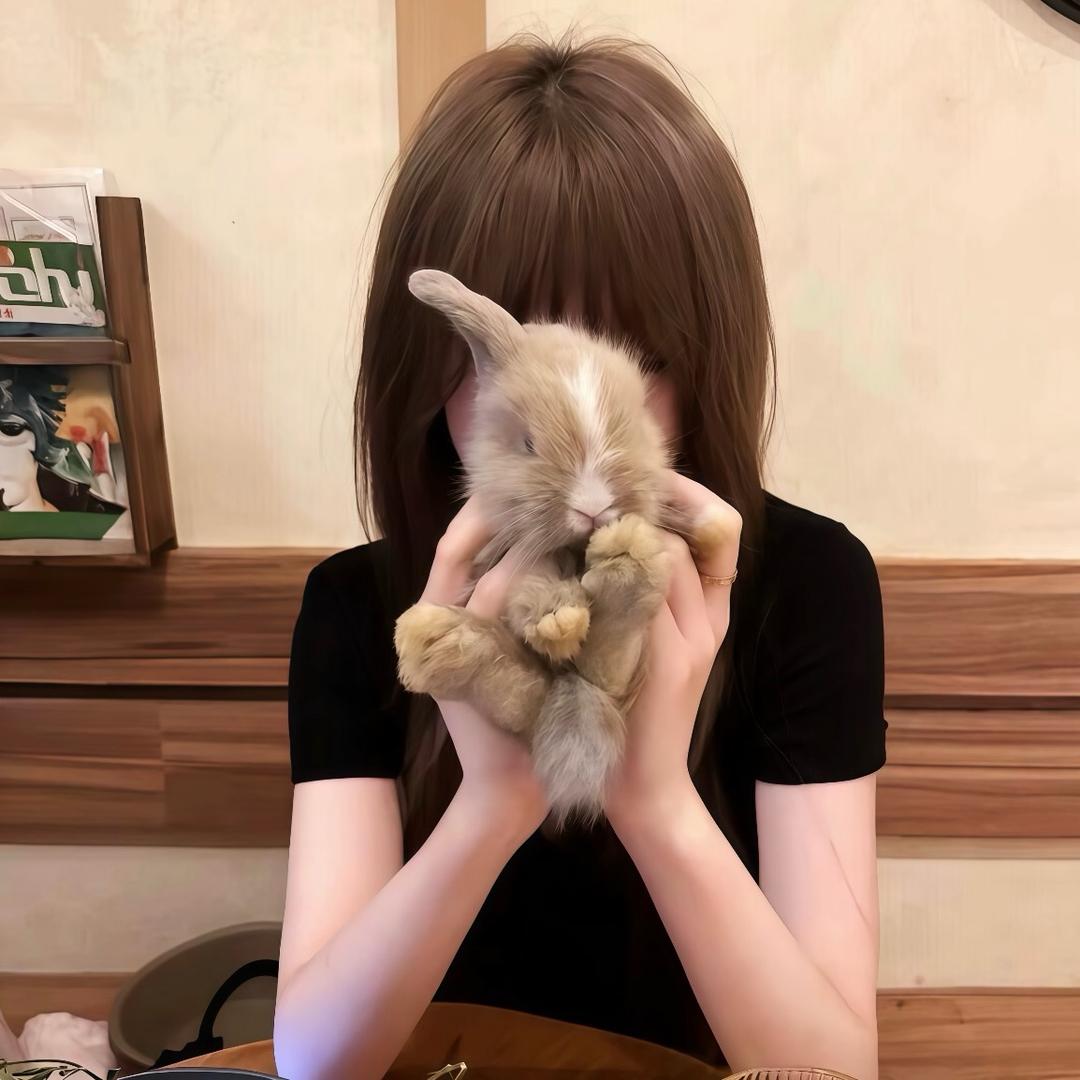 🐰🐰🐰🐰🐰