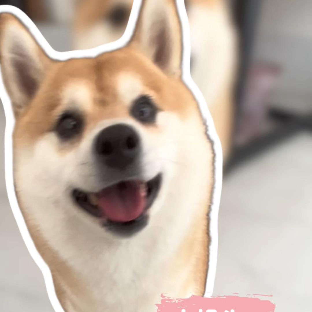 天黑就回家