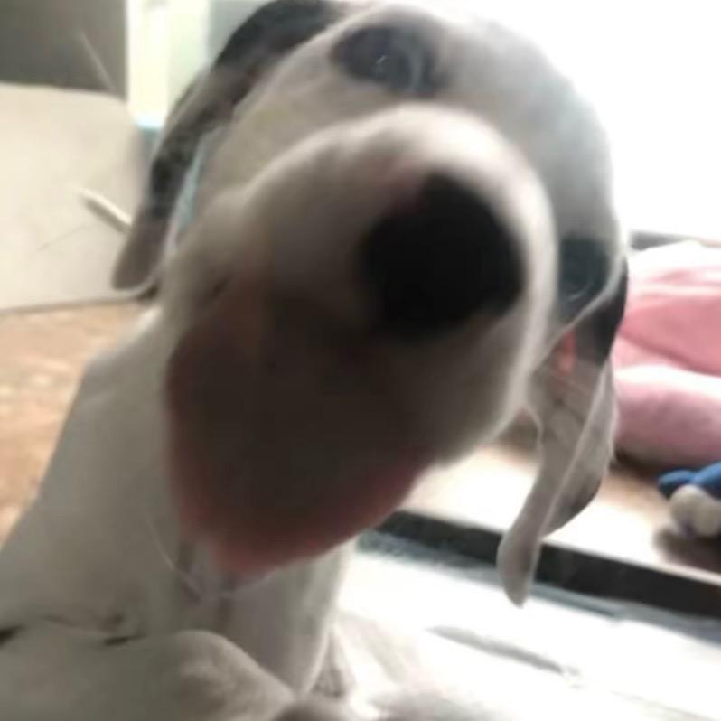 主持｜峻浩 【建超传媒】