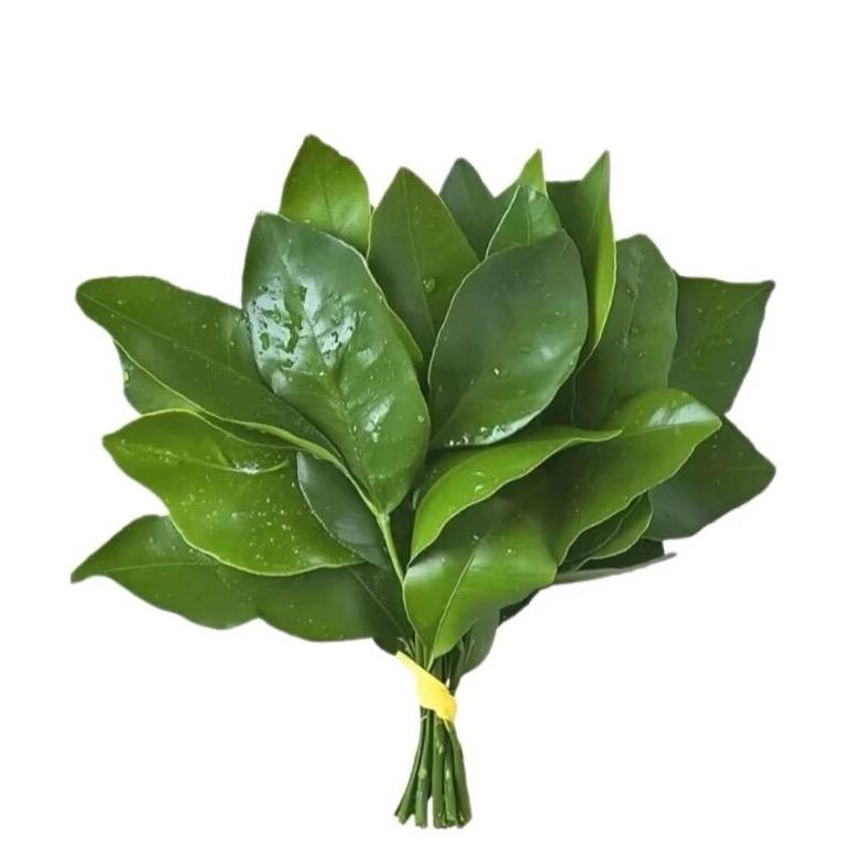 林小闲