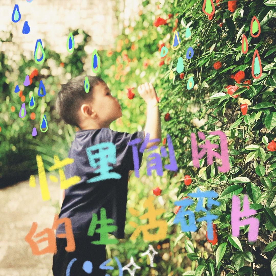 旺财行行