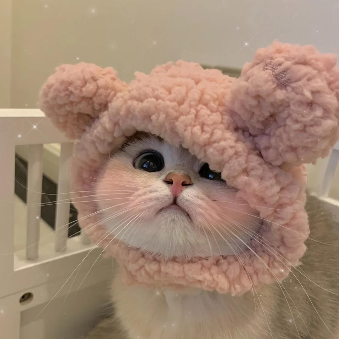 喔哦檬