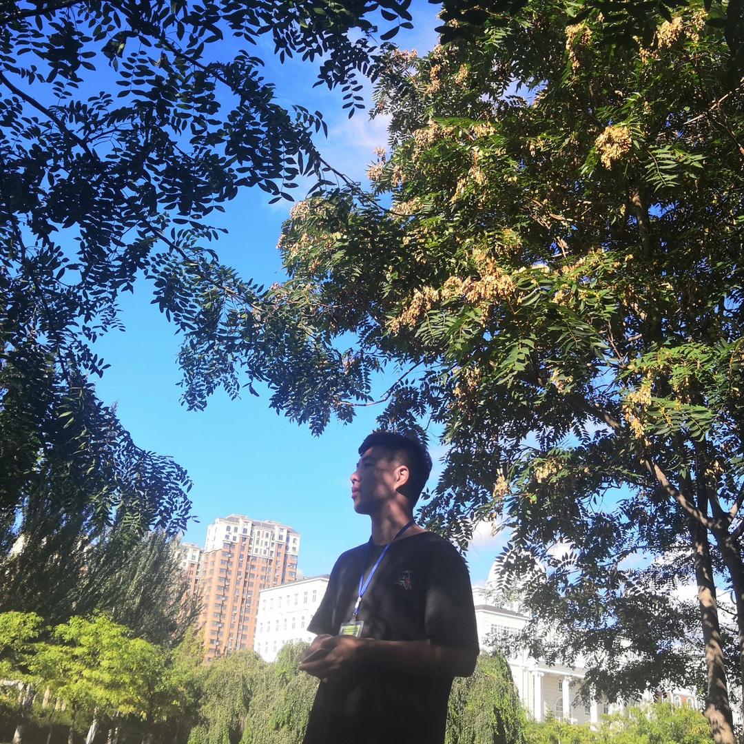 龙湖龙珠全网最高变现