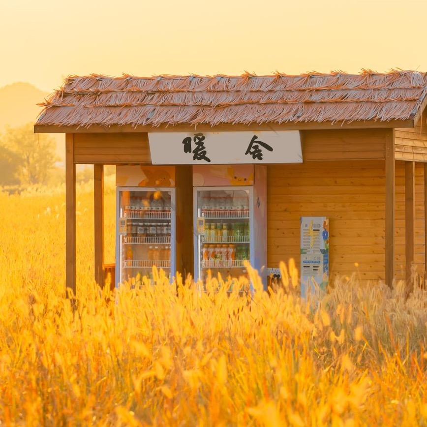 诗安山
