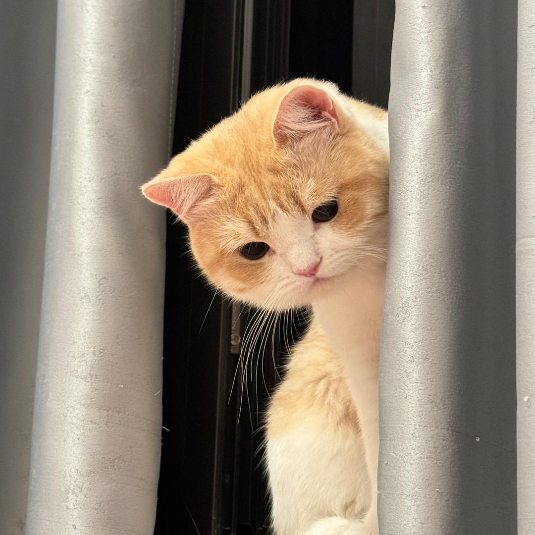 瑶幸运✨
