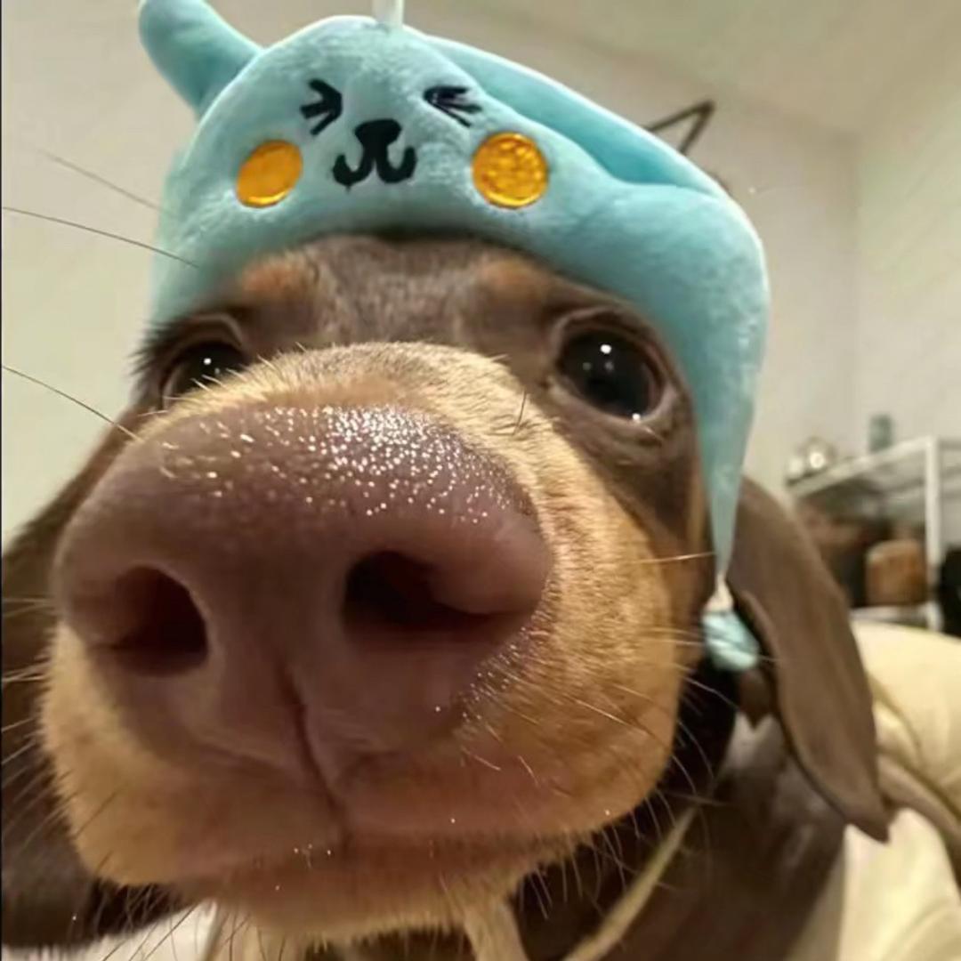 祢.