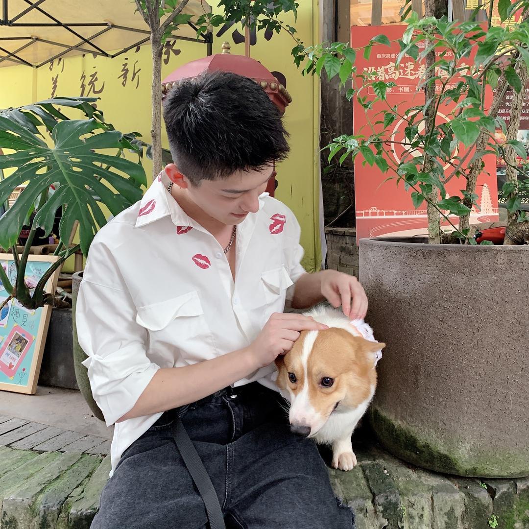 你的狼朋友🐺
