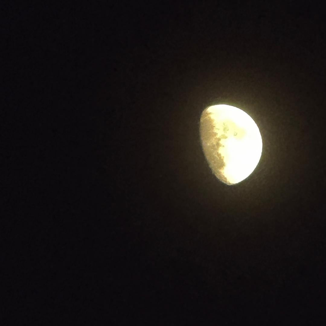 牛牛