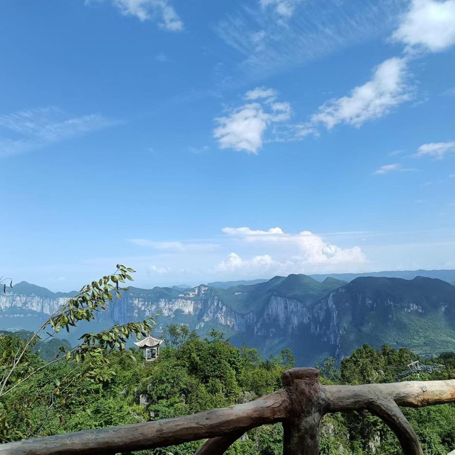 浮一大白