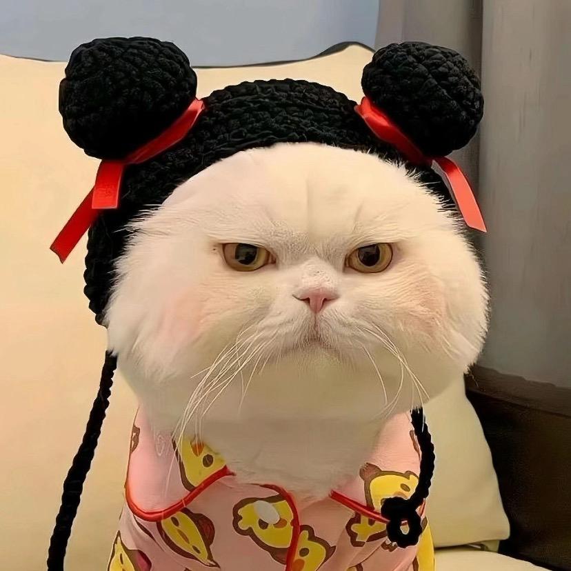 诺盈讲图文
