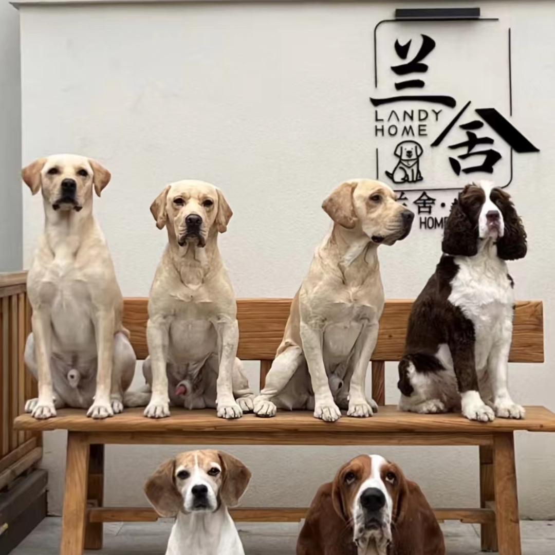 人生如戏꧔ꦿᩚ亦如梦💕@