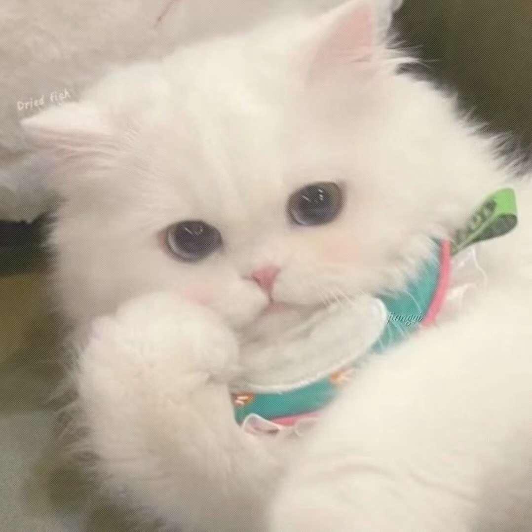 小xíng星.