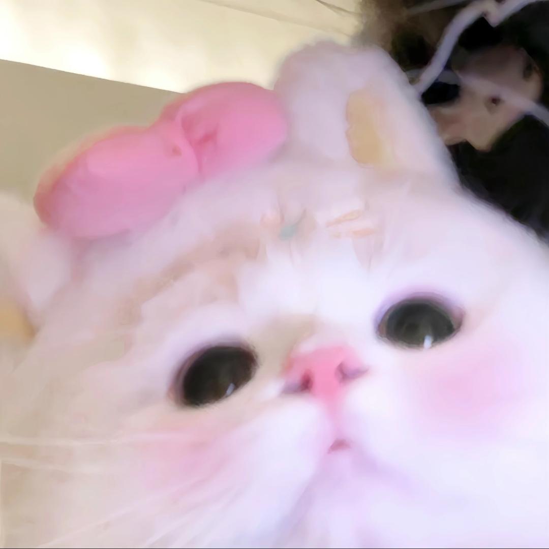 憋偷看我