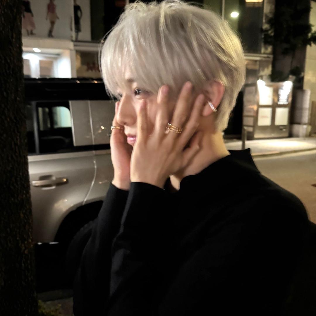 送我一本养狗大全谢谢