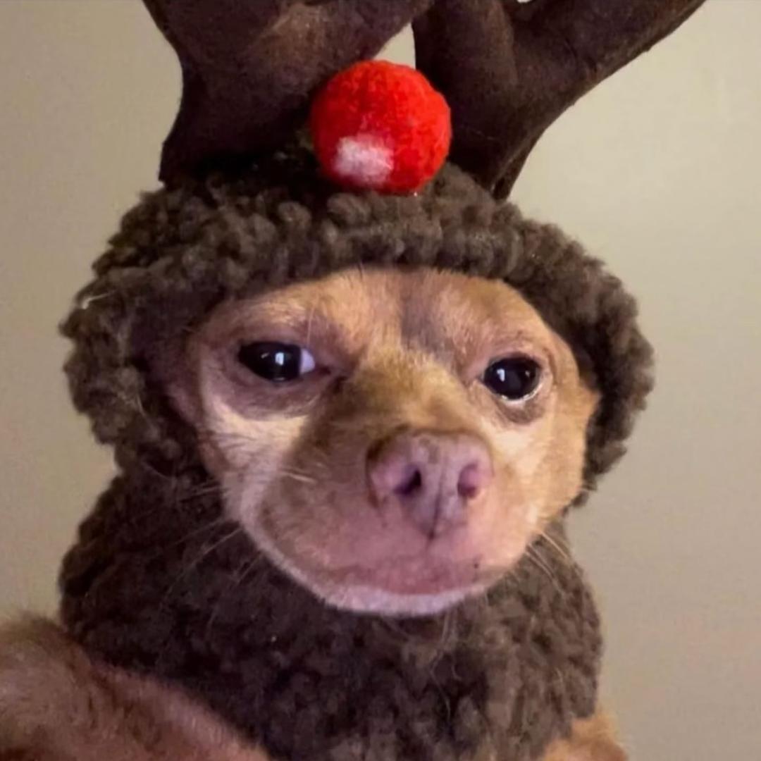 66、66666666666666666