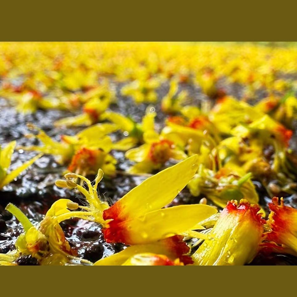 王总（承包工程）