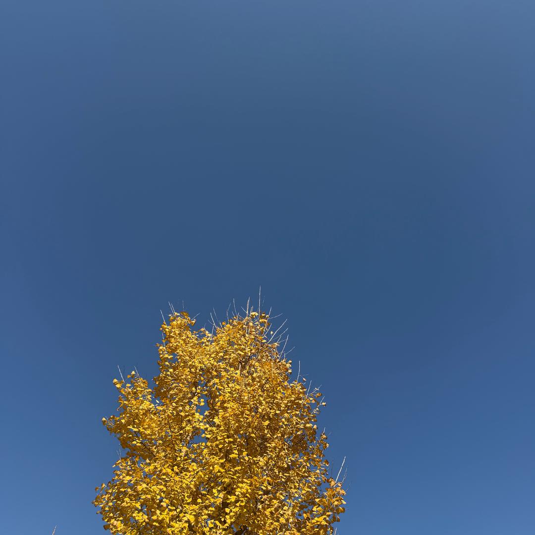 博联天街开心果早餐