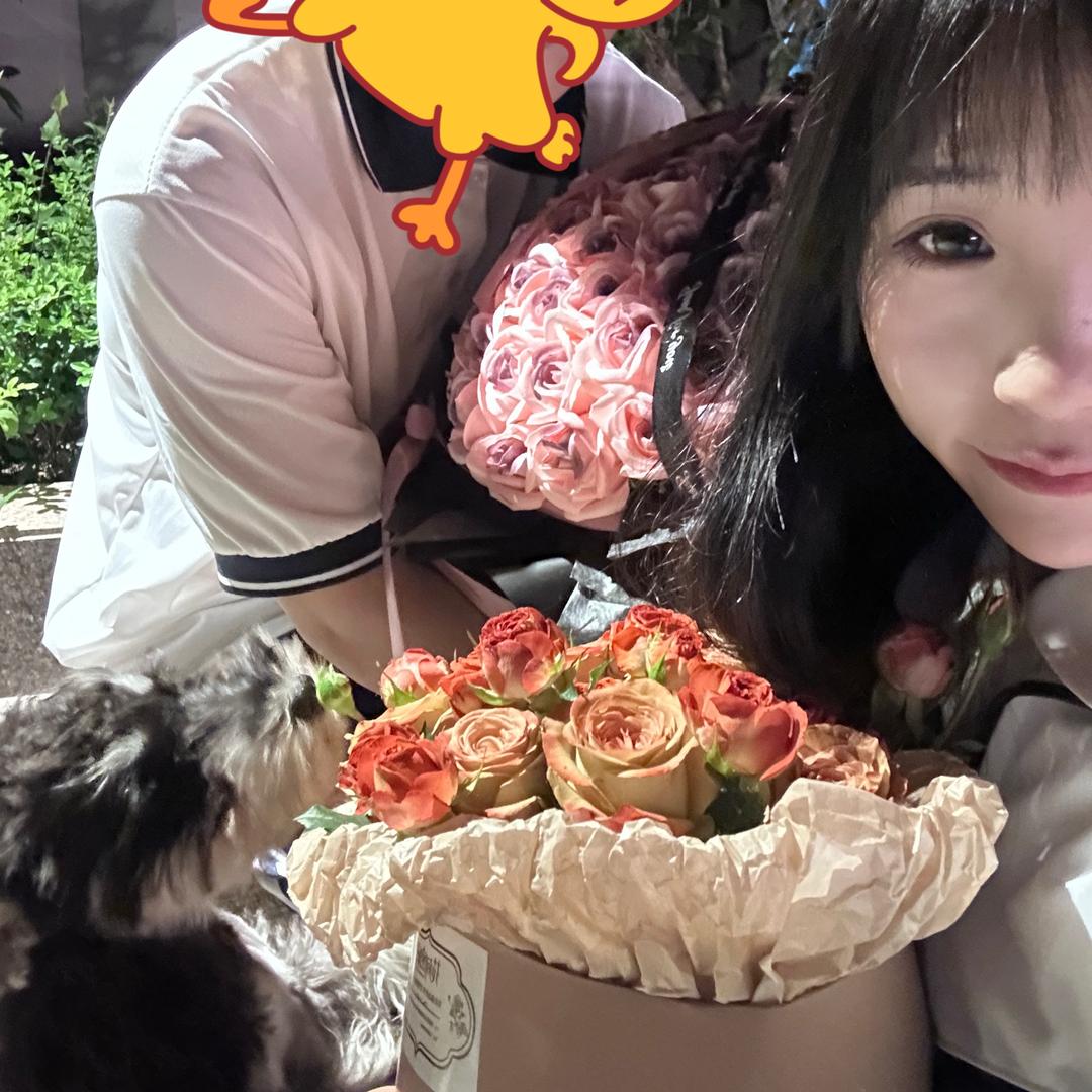 妖精g