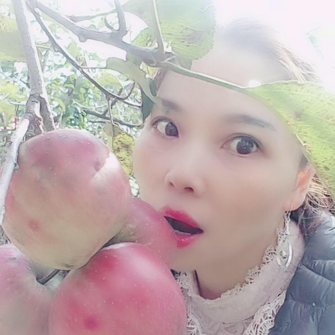 南辞书妤