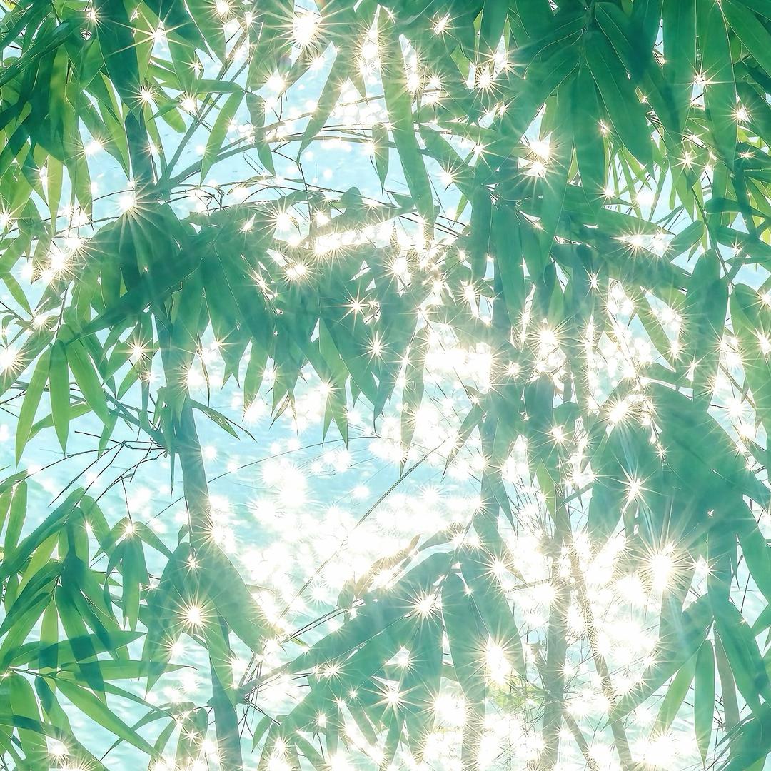 见山