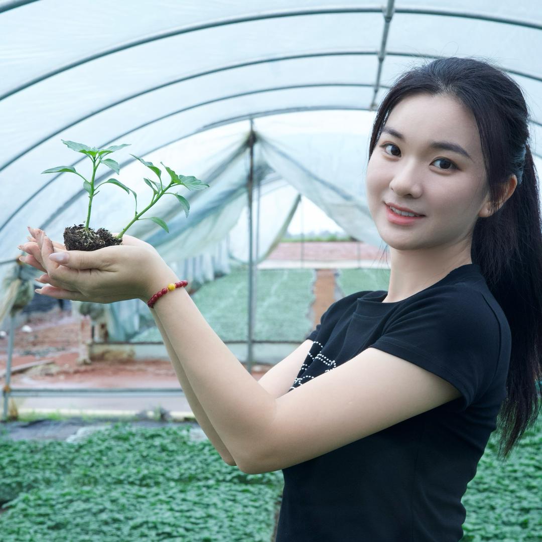 北海红丰果蔬农产品（ 五文姐）