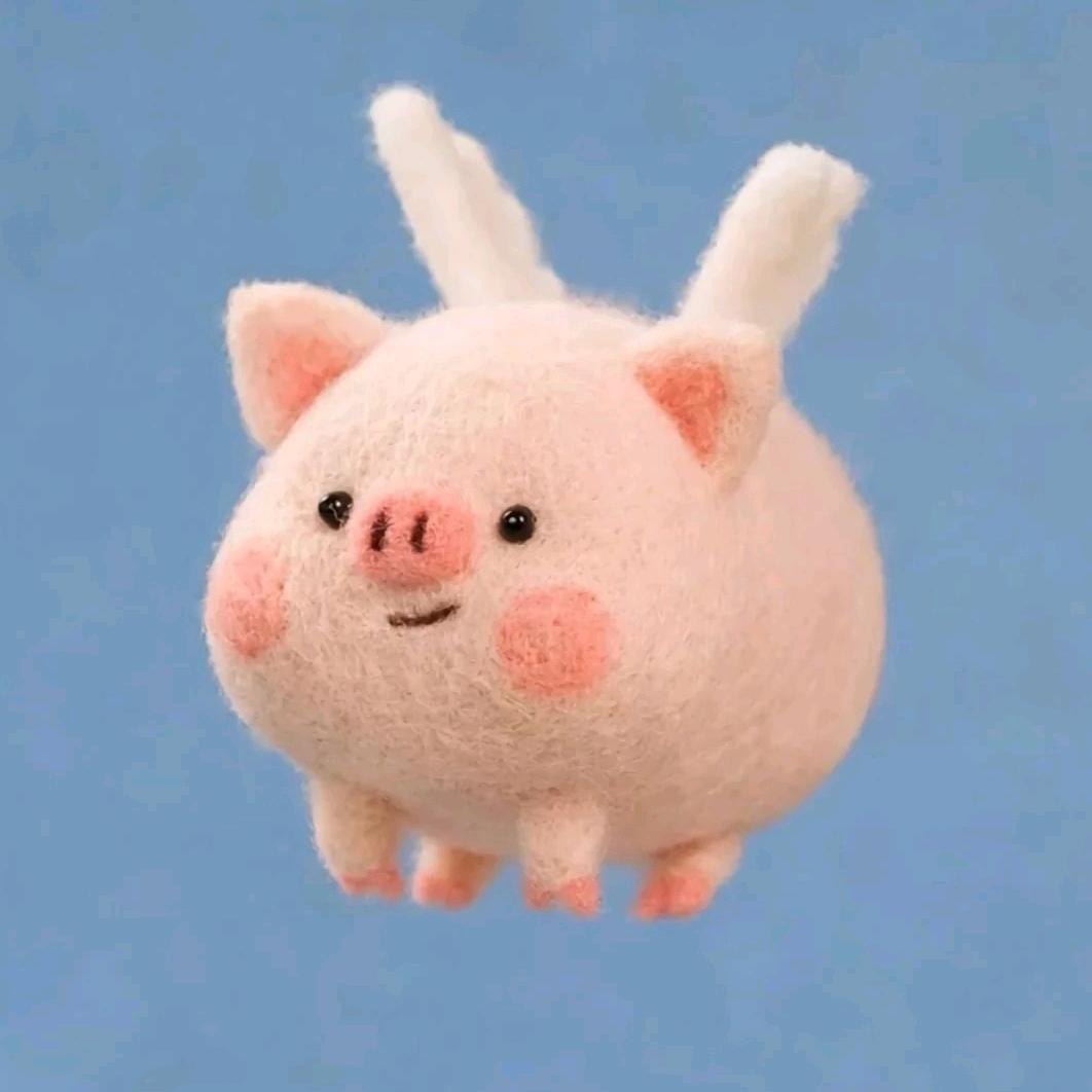 暗影🐷仔🐳一只乌鱼仔仔熊（式藕小蓉）