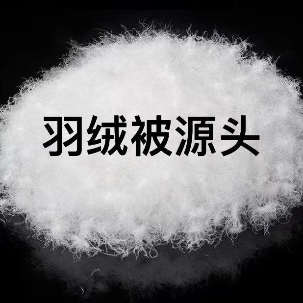 JXN轻奢羽绒被工厂