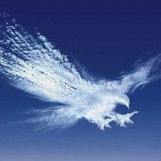 老王精选新房推荐