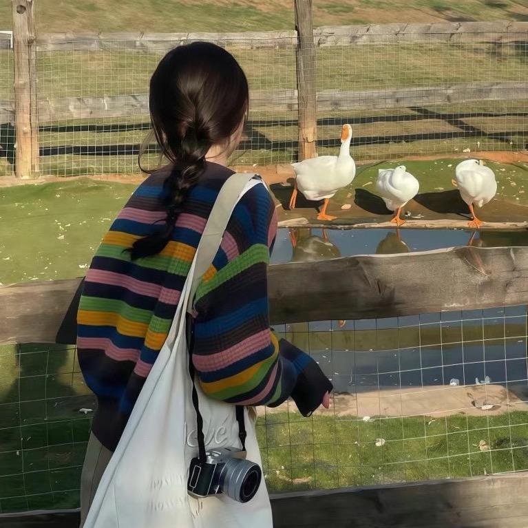 珠珠不是猪猪🐷