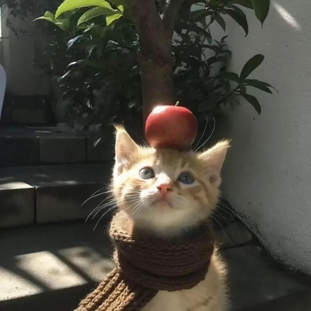 牙牙ya