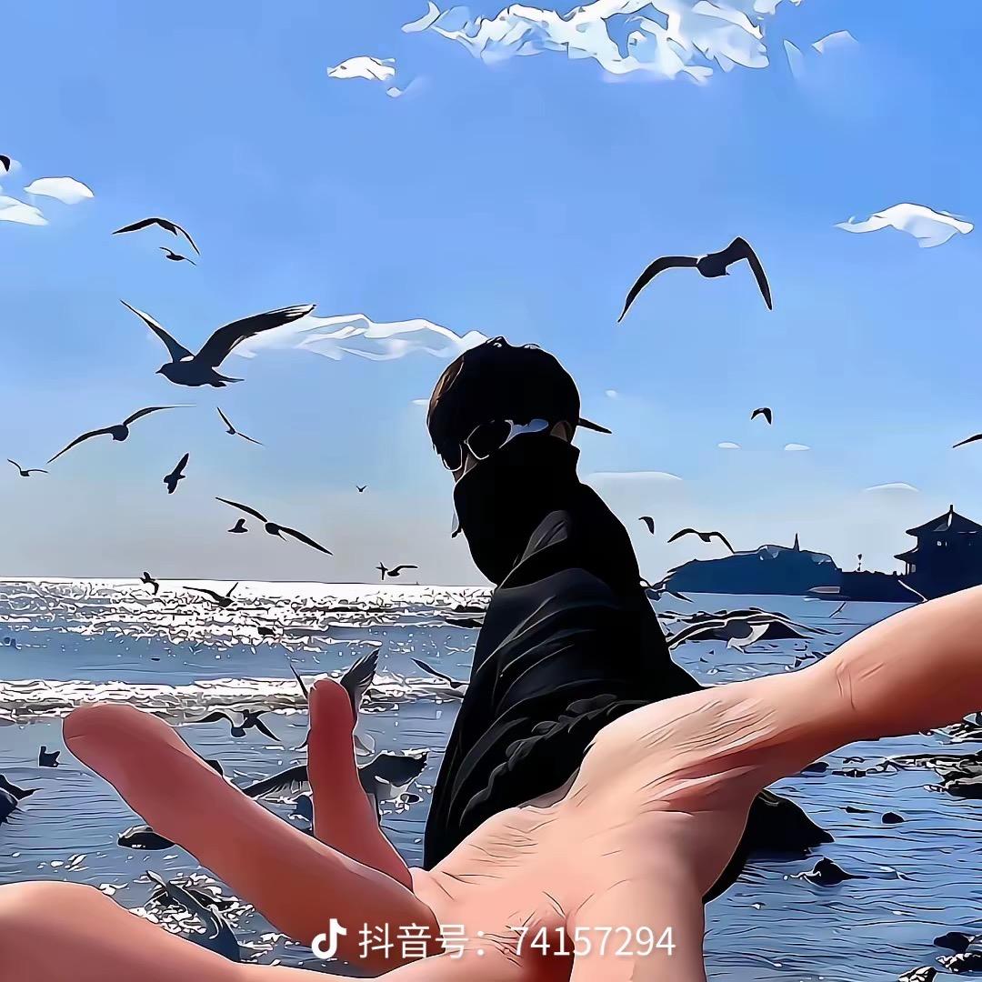 还是起个名吧。