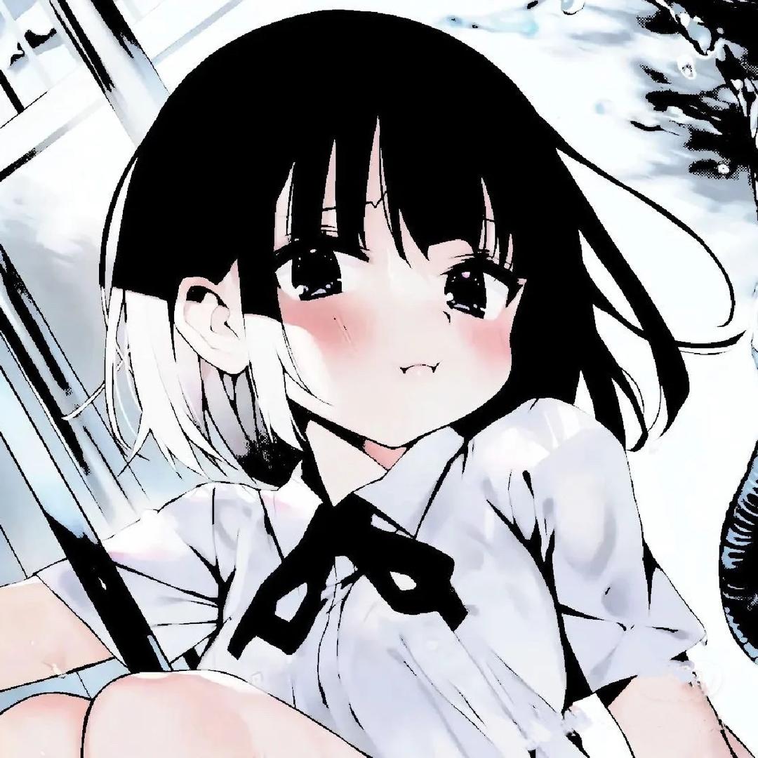 星星崽