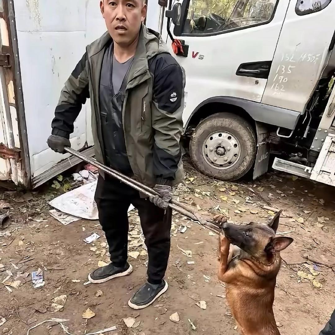 AAA专业套狗刘师傅