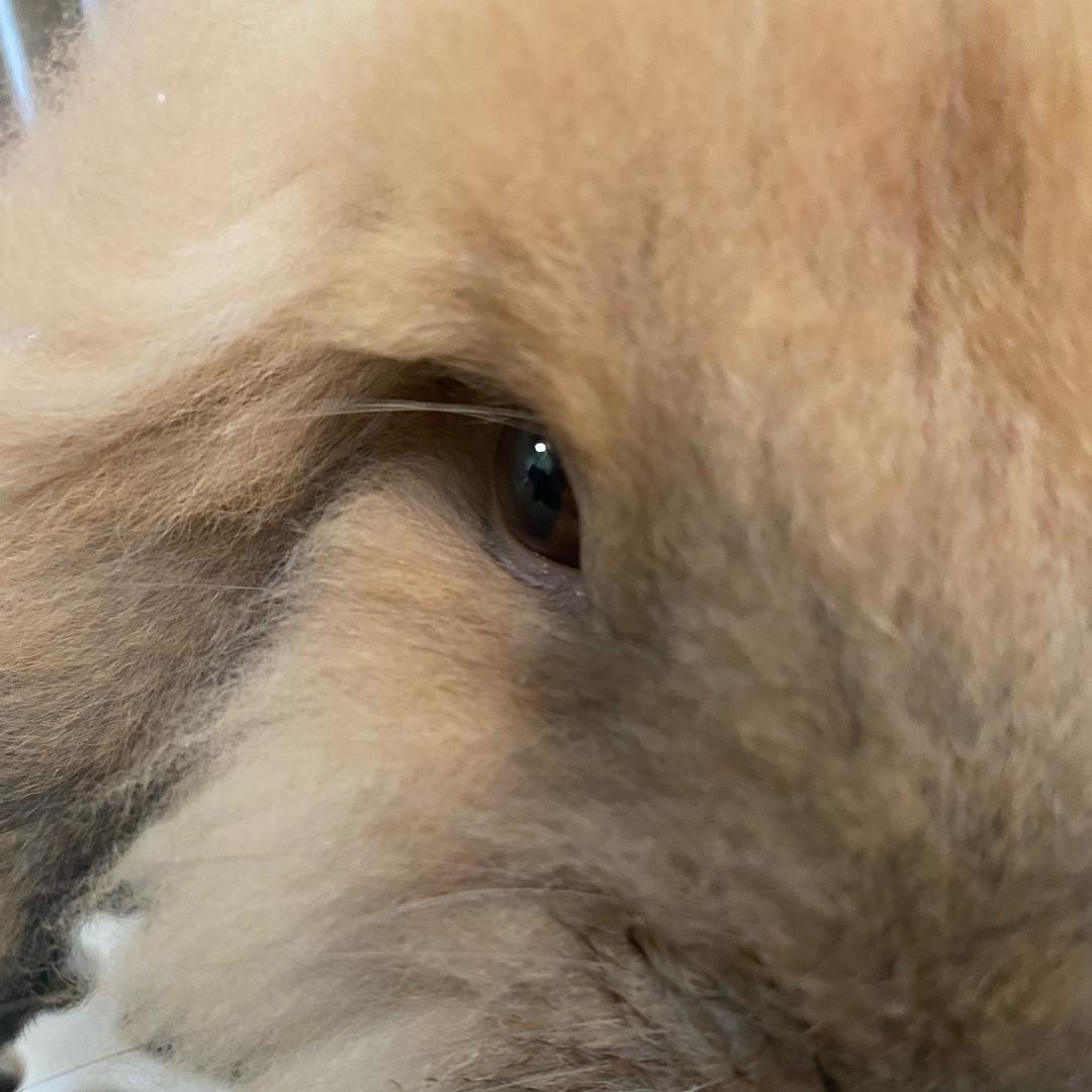 猕猴桃🥝姐姐&小蜜桃🍑弟弟