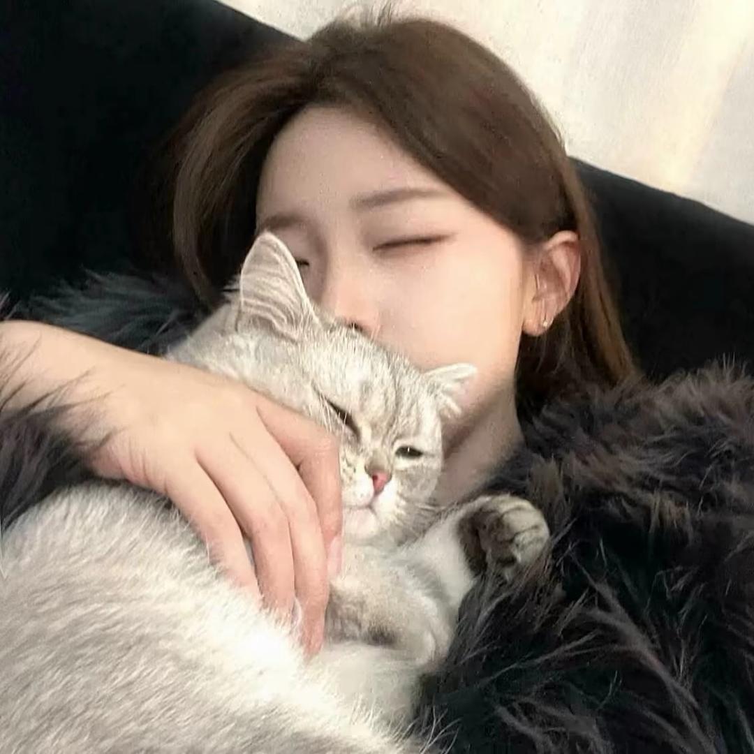 总是被骗