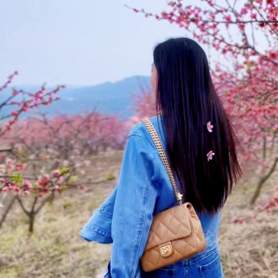 清风.
