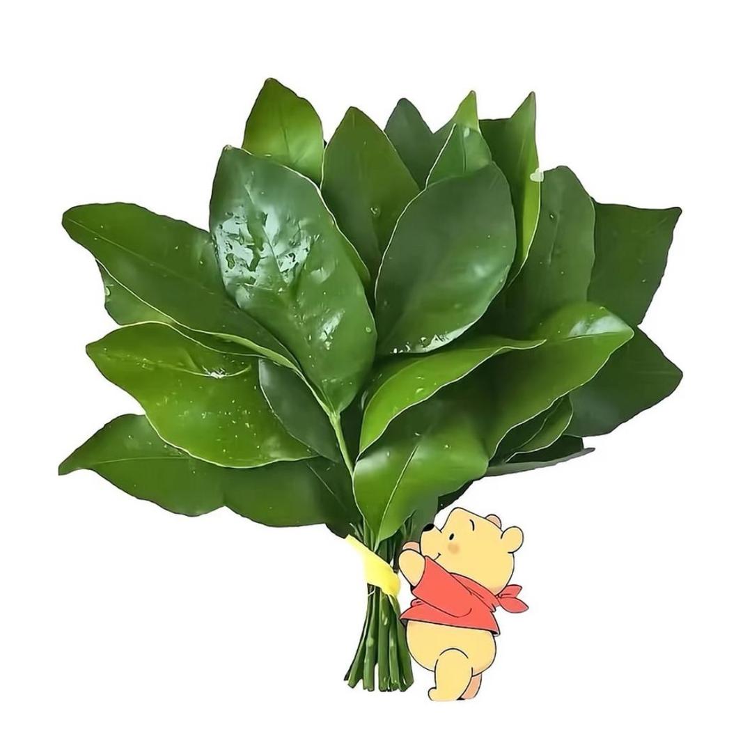 伊安.