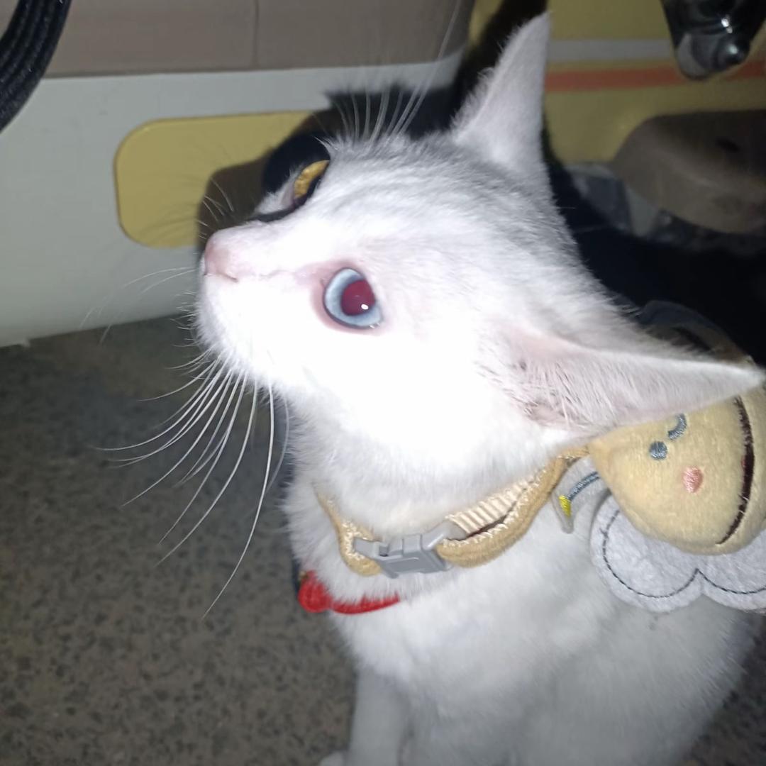 六月底.（求推荐