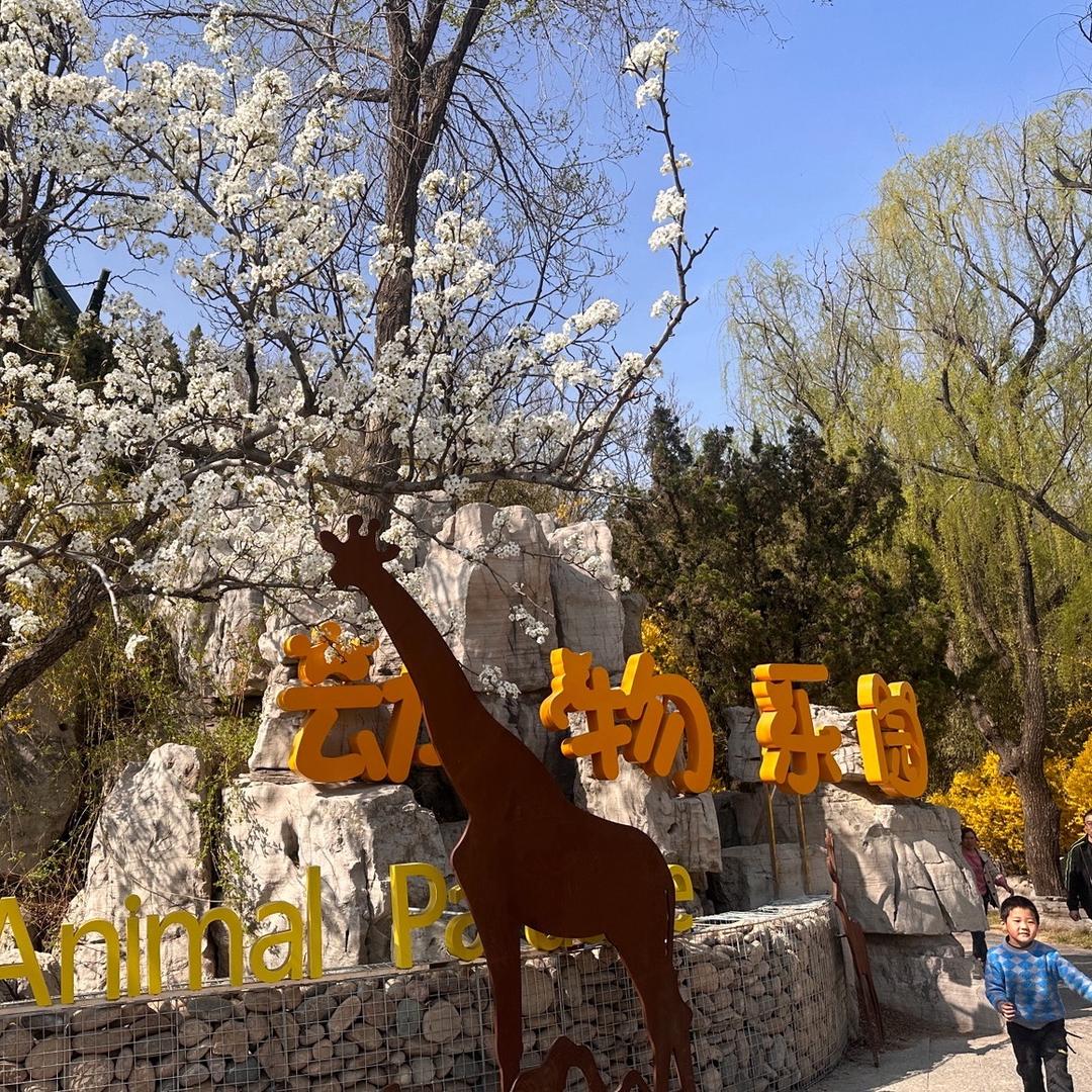 安丘青云山（云游讲解号）