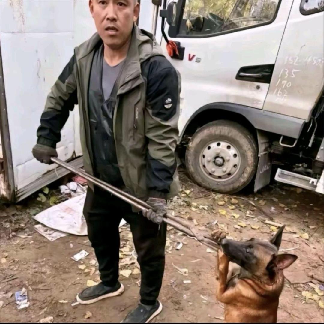 专业套狗孙师傅（全国可套）