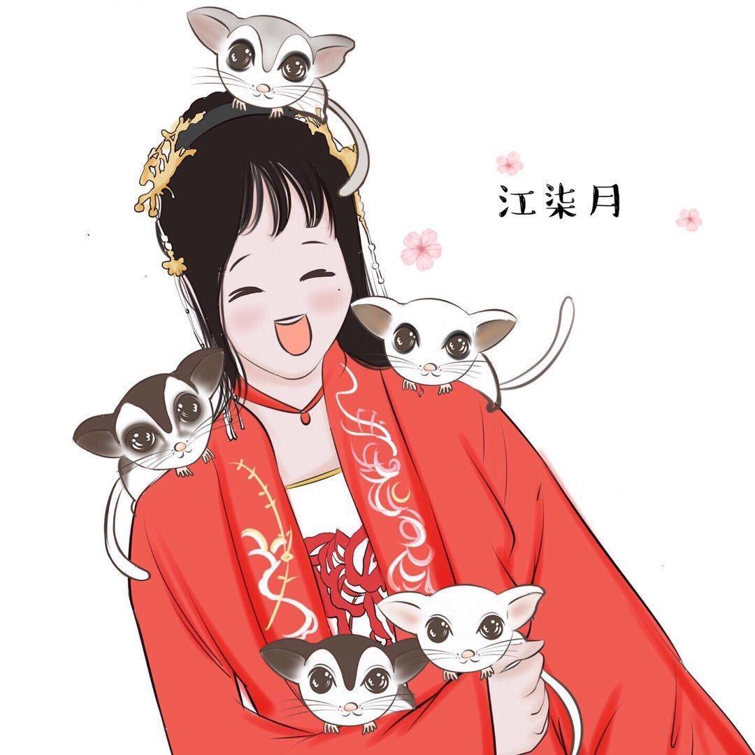 江柒月的蜜袋鼯@抖音